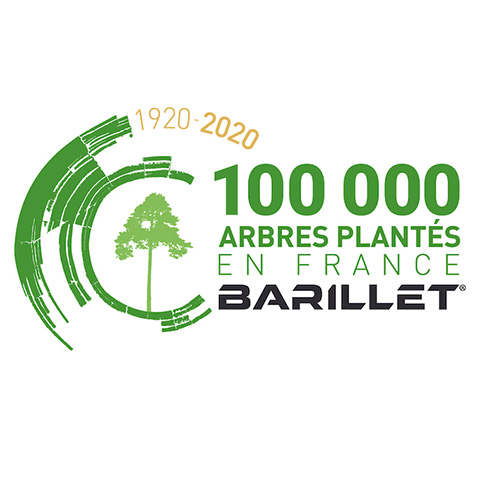 Développement durable plantation d'arbres